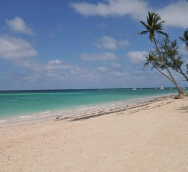 presidential suites punta cana beach 2